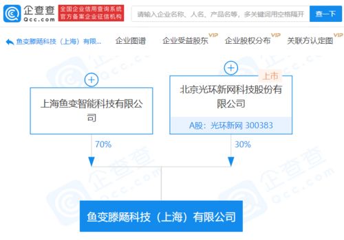光環(huán)新網(wǎng)攜手成立科技新公司，聚焦軟件開發(fā)領(lǐng)域